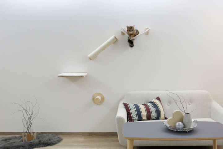 KERBL Katzen Kletterwand Alps